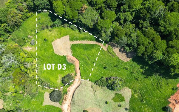 D3-feature-lg