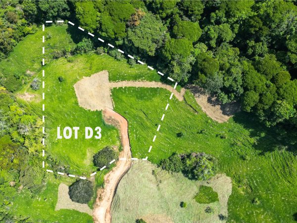 D3-feature-lg