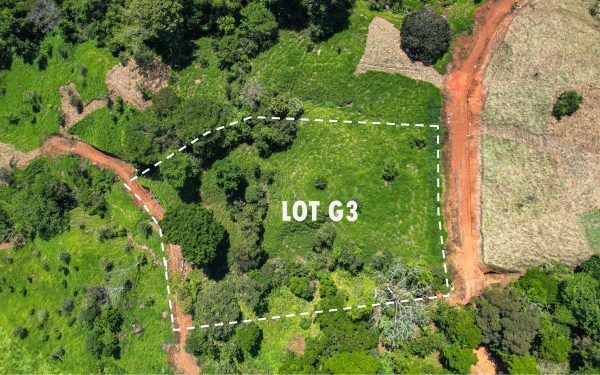 G3-feature-lg