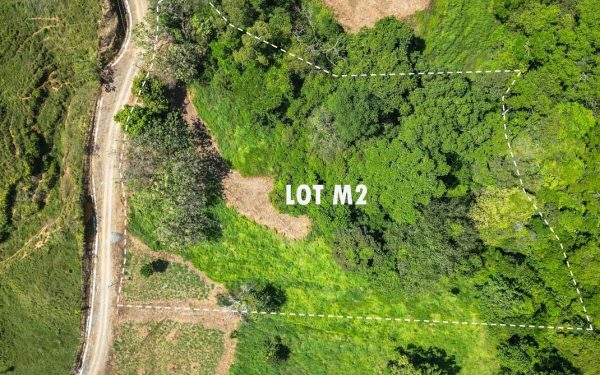 Lot M2-01