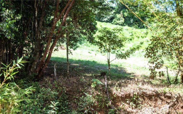 Lot P2-14