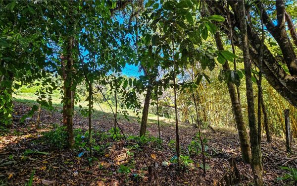 Lot P2-22
