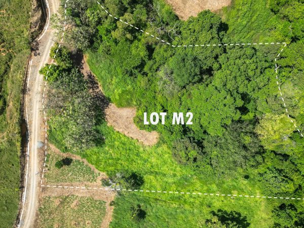 M2-feature-lg